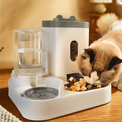 Automatic Food & Water Dispenser