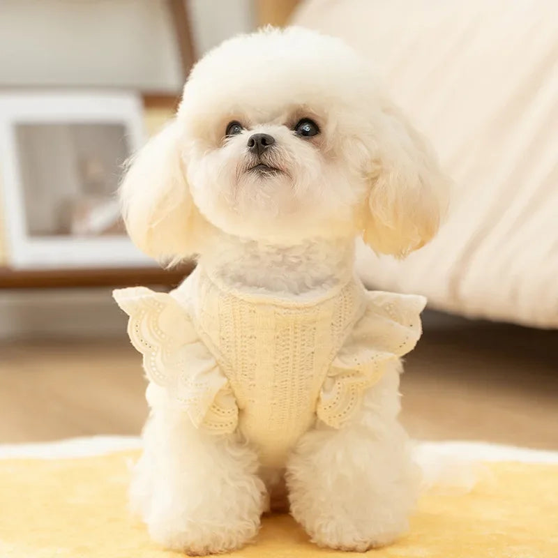 Lace Trimmed Thermal Pet Vest