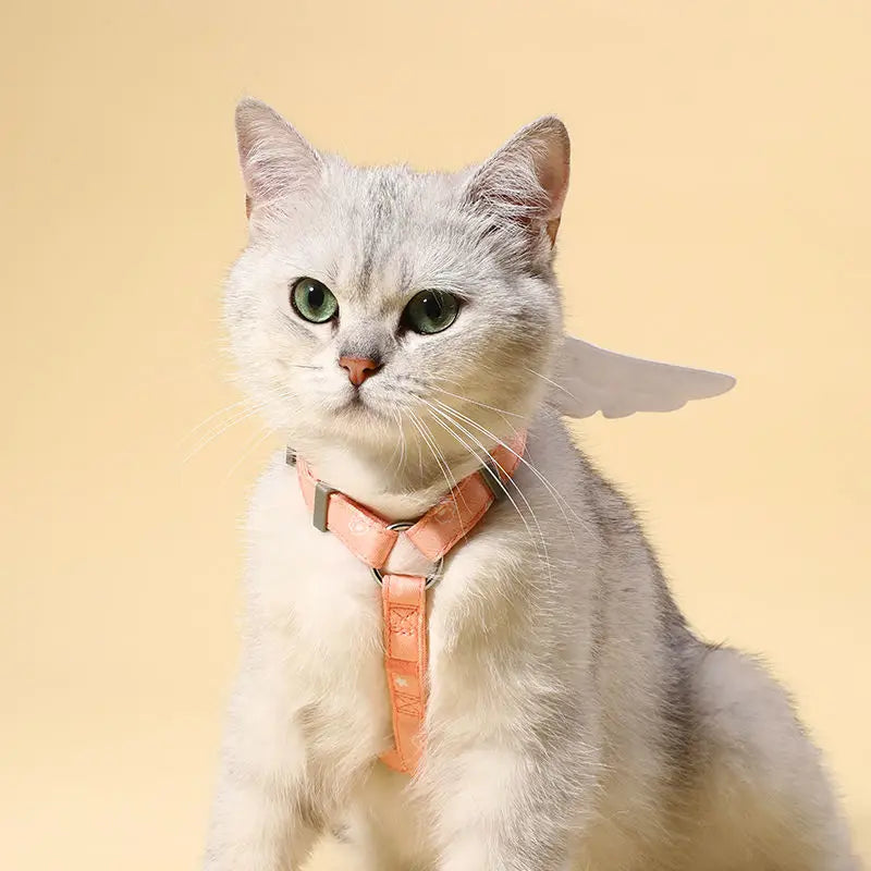 Angel Wing Cat Harness & Leash Set