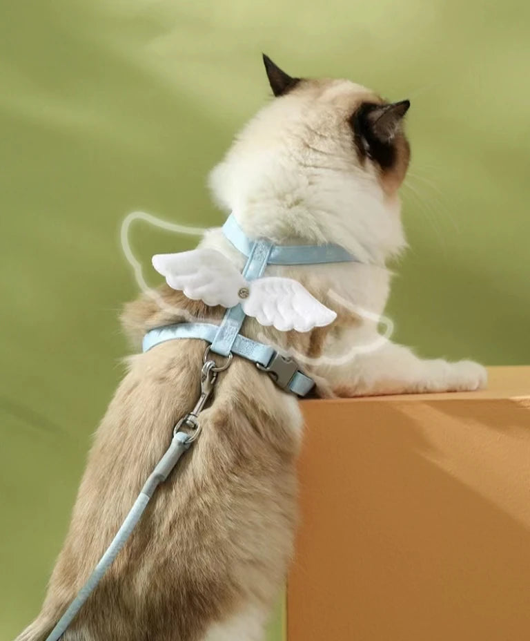 Angel Wing Cat Harness & Leash Set