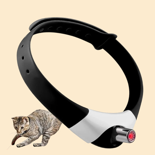 Interactive Smart Laser Collar for Cats